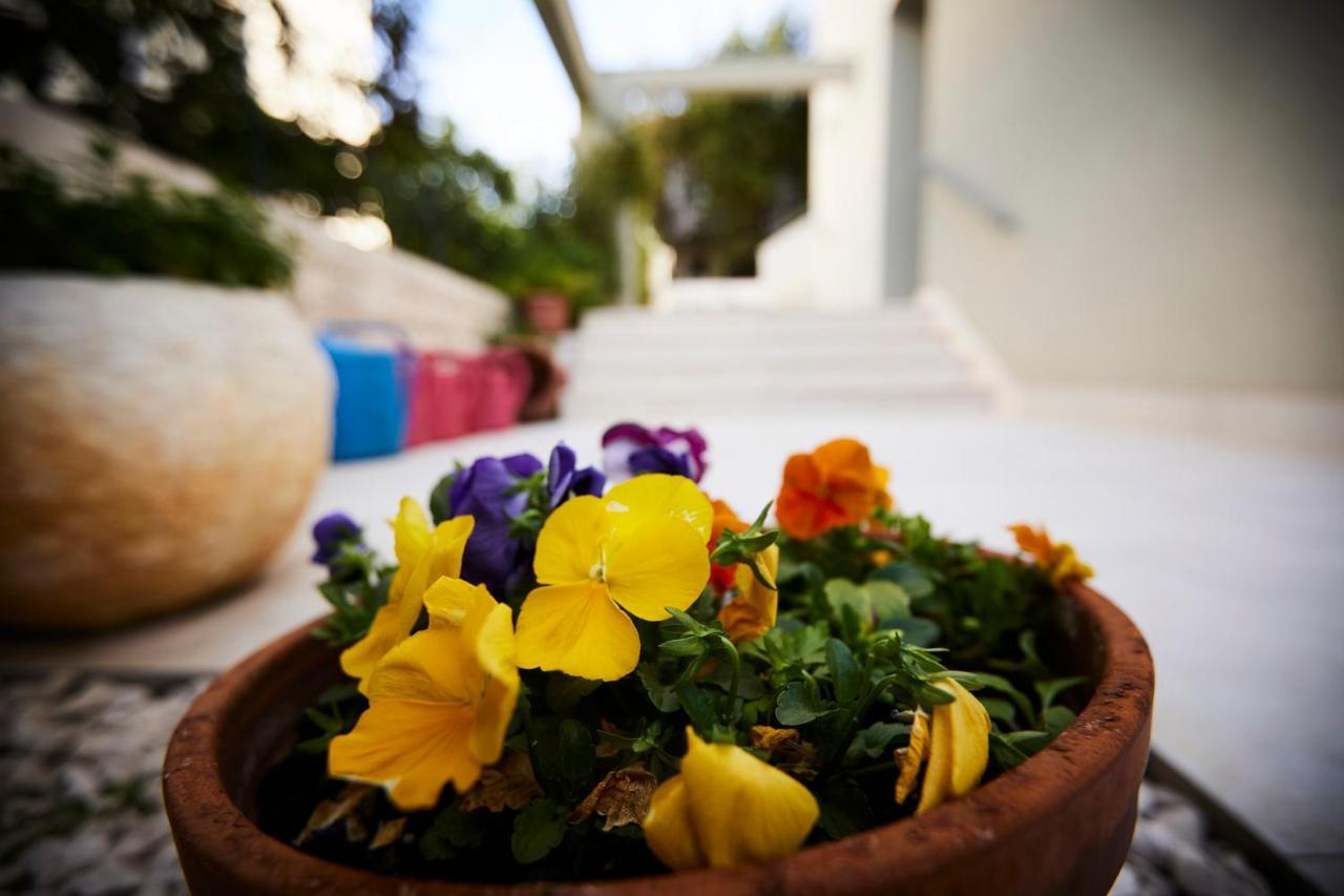 Villa Grdelina Supetar Dış mekan fotoğraf
